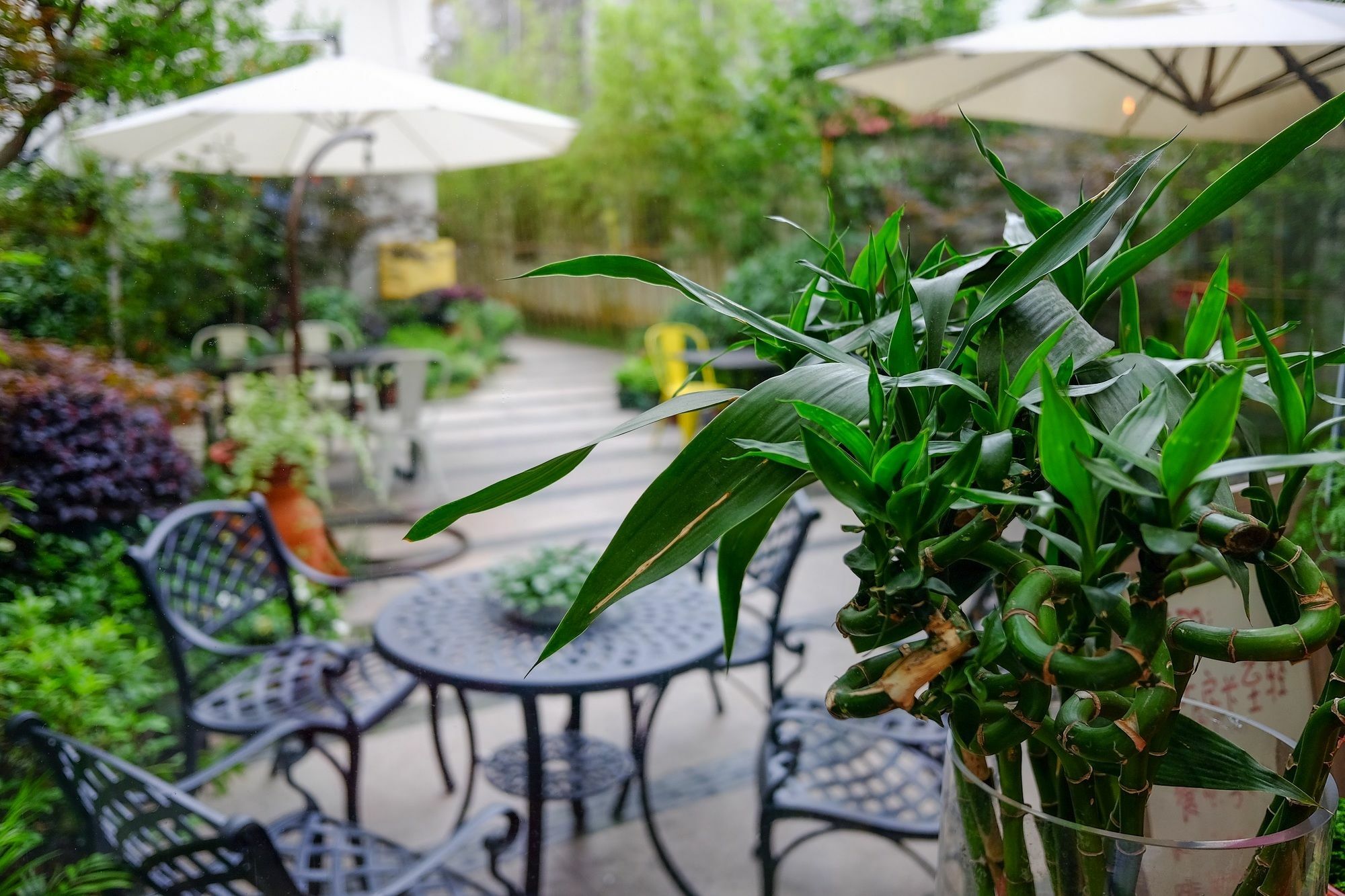 Suzhou Homa Garden Hotel Exteriör bild